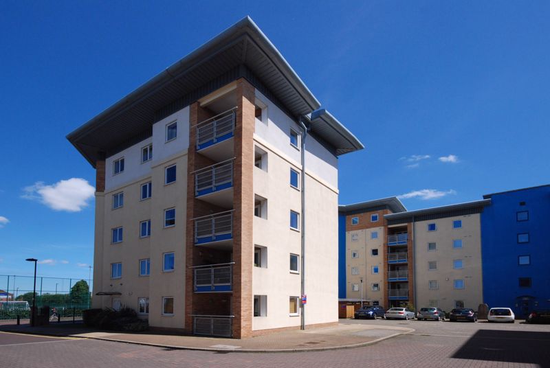Main Image